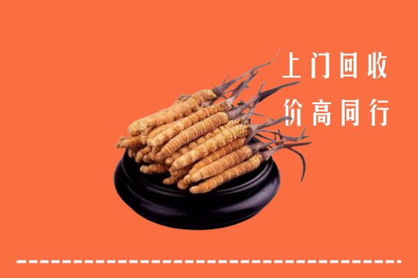 收购行情：临汾市永和回收散虫草