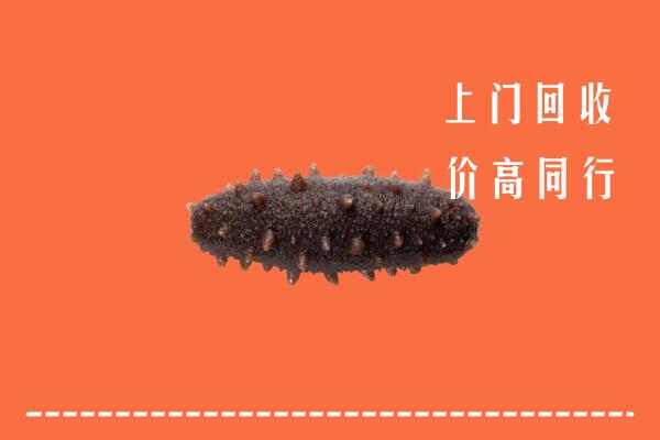 临汾市永和回收海参