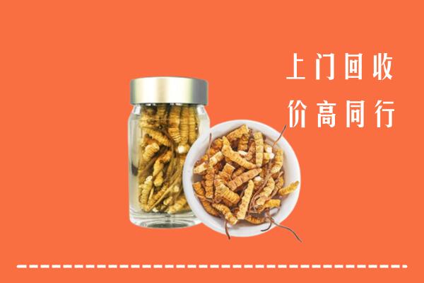 临汾市永和回收冬虫夏草