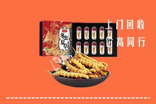 临汾市永和回收虫草